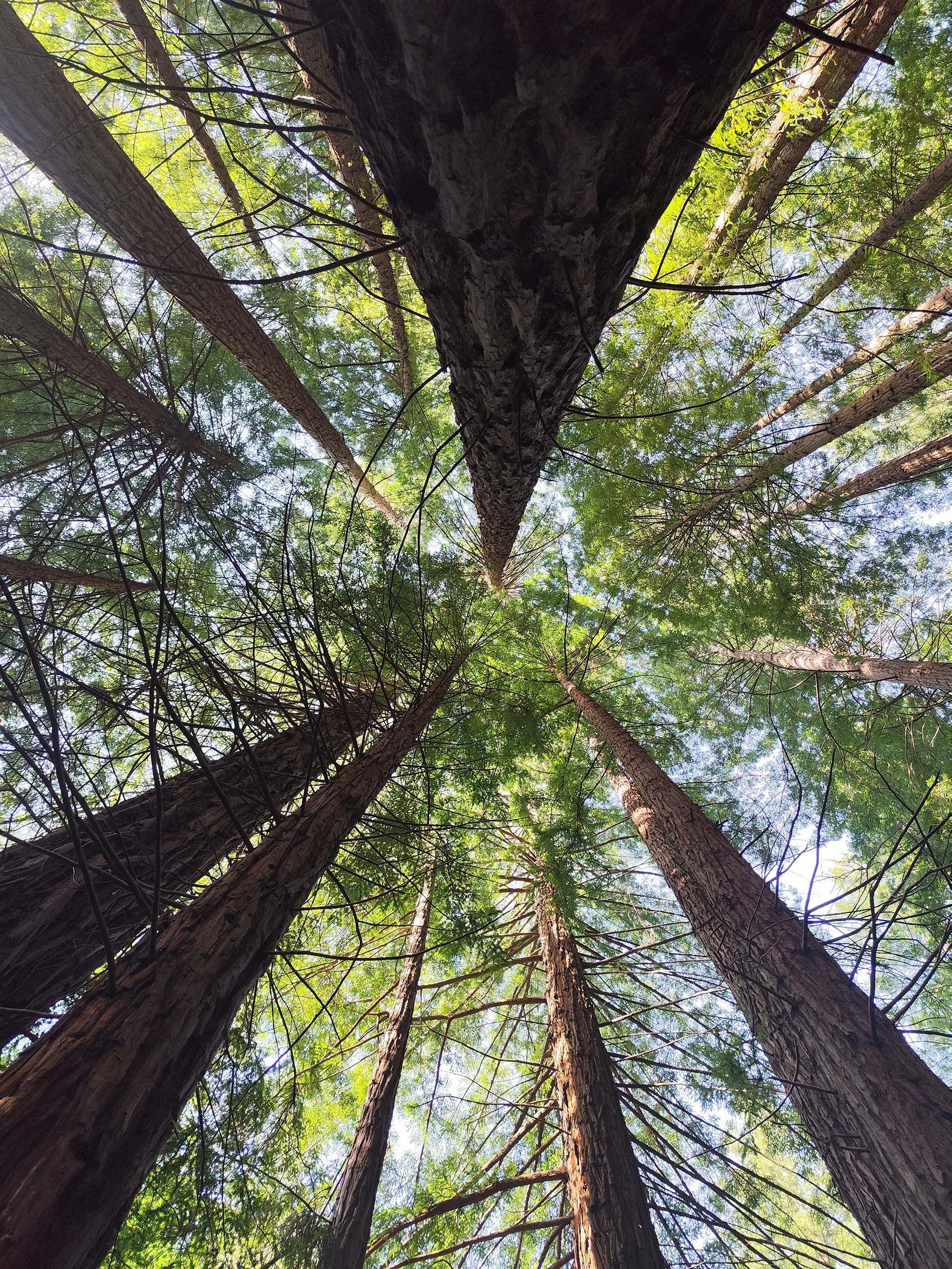 brazo con piedras que representan los 7 chakras